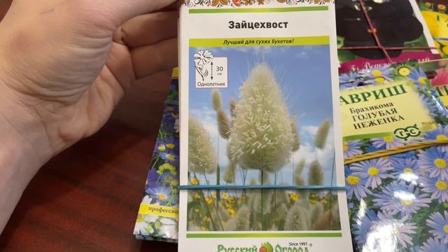 ВИОЛА АМПЕЛЬНАЯ, ЗАЙЦЕХВОСТ, АНГЕЛОНИЯ, БРАХИКОМА СЕЗОН 2023 смотреть онлайн