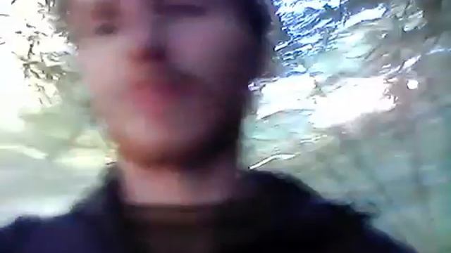 Сухумский ботанический сад, солнечное и тёплое утро 30 декабря смотреть онлайн