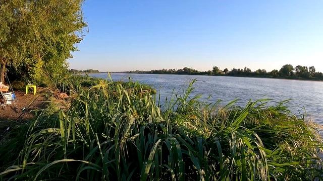 Будет ли клев, если резко растет атмосферное давление / рыбалка на День Строителя / Маяки/ Днестр смотреть онлайн