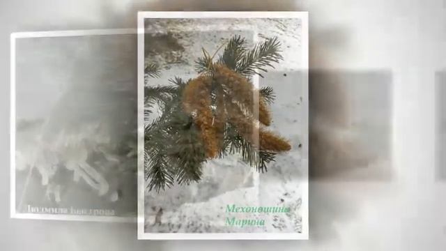Конкурс Межсезонье на сайте *7 дач* смотреть онлайн