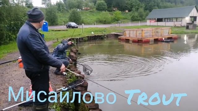 Мисайлово Trout. Утро. Клёв форели смотреть онлайн