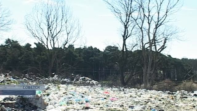 Свалка в Советске Калининградская область смотреть онлайн