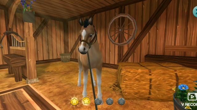 Выращиваем жеребенка северо-шведской лошади ? Star Stable Horses смотреть онлайн