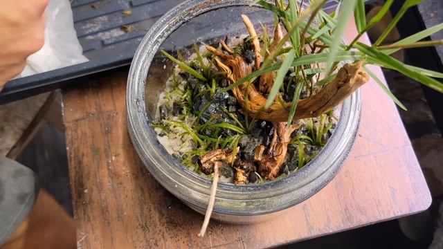 Tutorial on how to aquascape a desktop scape! смотреть онлайн