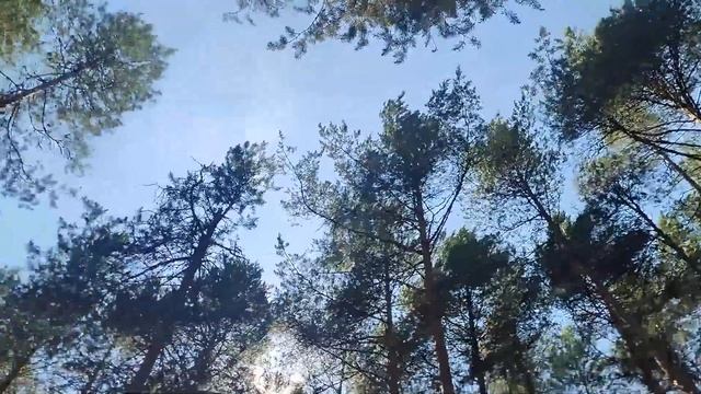 Летний подростковый лагерь 2022 церкви "Подари Надежду - Экспедиция в "Zone B", день 7 смотреть онлайн