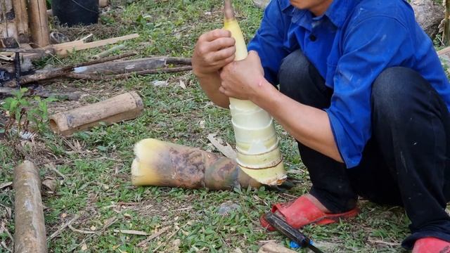 survival in the rainforest-found murrel fish with water spinach for cook & give to pets HD смотреть онлайн