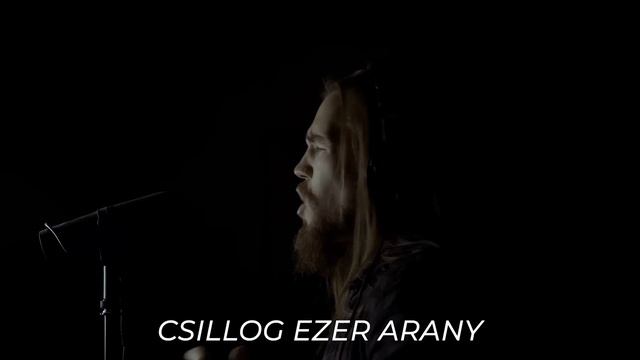 NordicFILI - Valhalla Szólíts Hát (Valhalla Calling By @miracleofsound ) Hungarian COVER