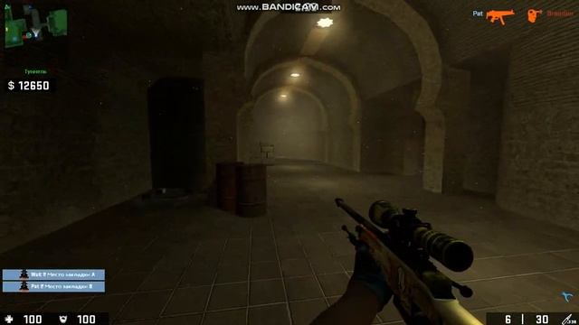 Катка ксс со скинами