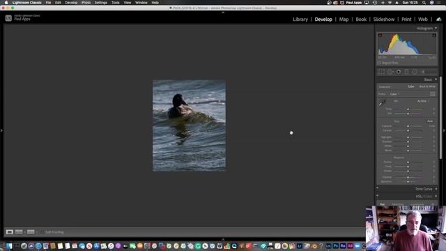 How to Transform your photos for dynamic paintings смотреть онлайн