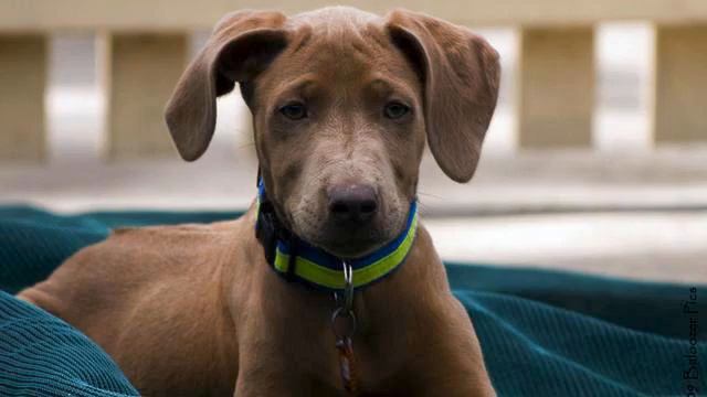 Музыка для Тельца. Красивая печальная песня. Тащусь!