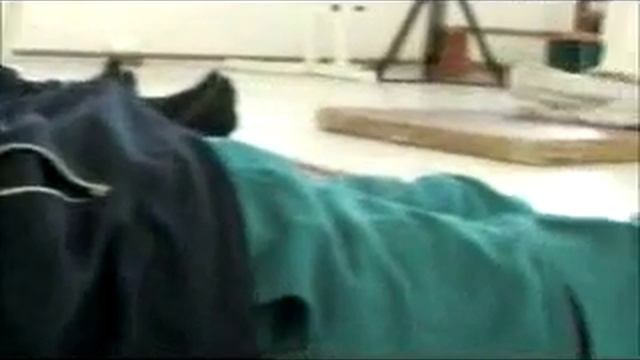 "Свобода зад решетките" Част 1 смотреть онлайн