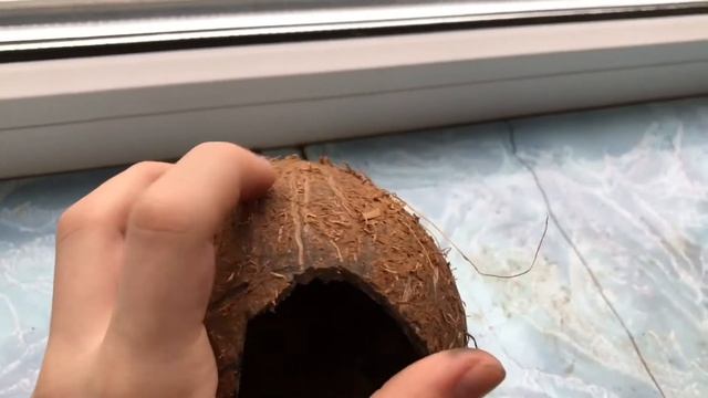 Делаем домик из кокоса!!! часть2 смотреть онлайн