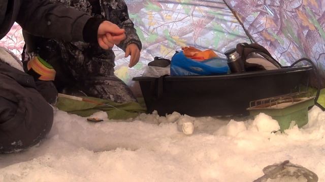 Рыбалка в Шевелях (Экран) и на Томи в Смолино 30.01.2021г. смотреть онлайн