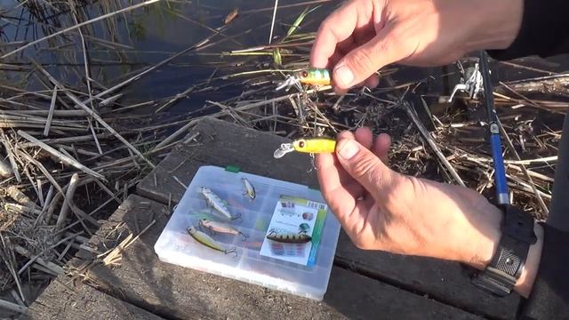 Обзор лучших воблеров Pontoon 21