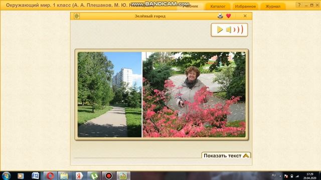 Природа в городе Что растет в городе смотреть онлайн