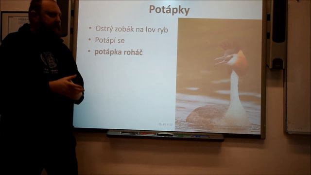 Přírodopis na Tyršovce - Vodní ptáci смотреть онлайн