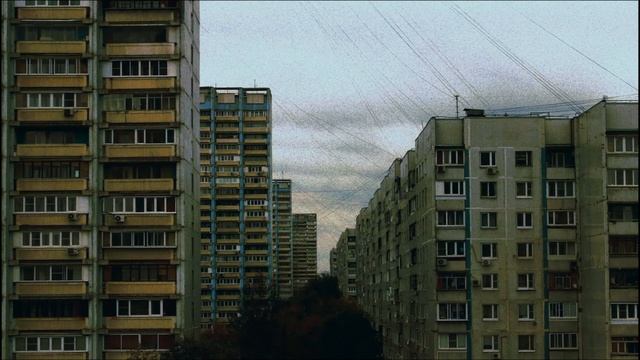 DIEMXNT - In Order To Fall Off The Tree, It Needs To Grow