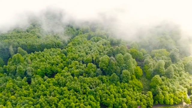 Мы На Плоскогорье.3Дня В Автодоме.#плоскогорье