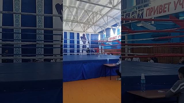 Бокс три девятка соревнования 14 декабря.2022 год смотреть онлайн