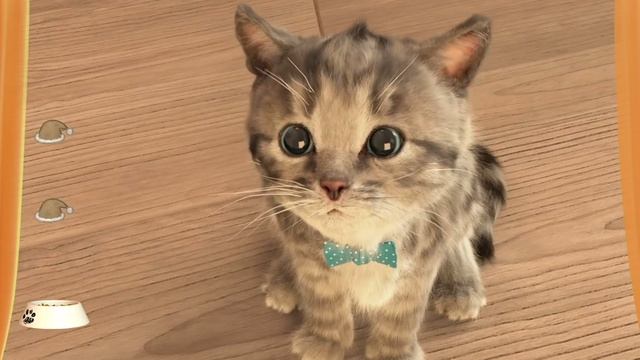 МОЙ МАЛЕНЬКИЙ КОТЕНОК №2. ИГРА про котят на канале Хвостик ТВ смотреть онлайн