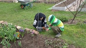 Сделали клумбу из камней своими руками