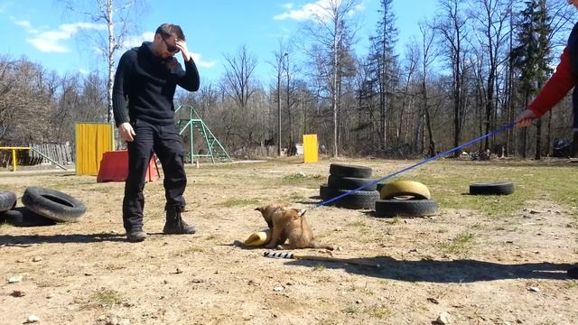 Матильда, рукав смотреть онлайн