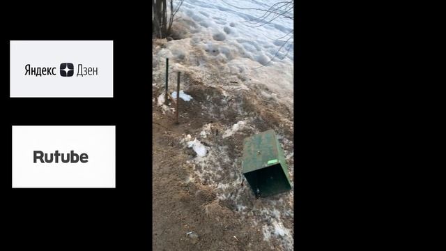 Весенние обострение у психов #608 Орехово-Зуево смотреть онлайн