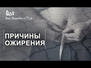 Причины ожирения