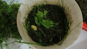 Выползки ч2 Как хранить в городской квартире