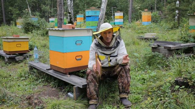 Летняя изоляция маток смотреть онлайн