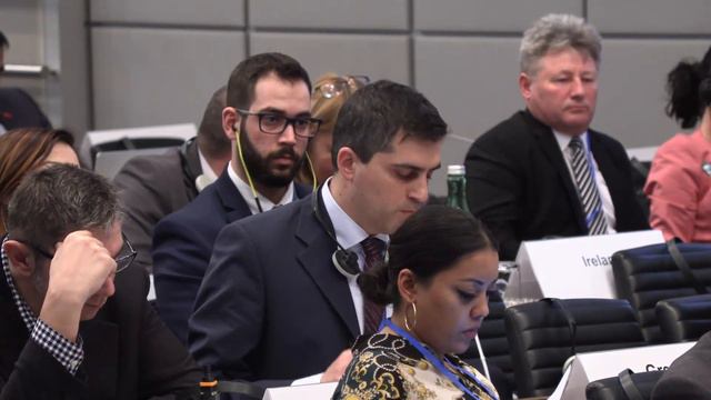 General Committee on Democracy, Human Rights and Humanitarian Questions Winter Meeting 2019 смотреть онлайн