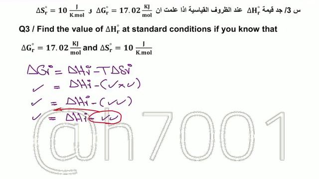 الفصل الاول | واجبات كبس ج1 | حسين الهاشمي | دفعة 2024 смотреть онлайн