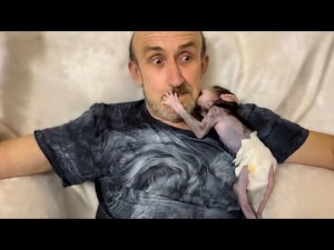 Вечером у Степашка ВРЕМЯ ИГР! Друзья, не берите домой обезьян, они слишком УМНЫЕ и ОПАСНЫЕ!