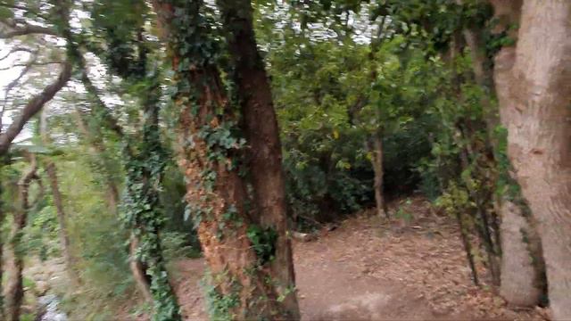 Нет маски - забираем дом смотреть онлайн