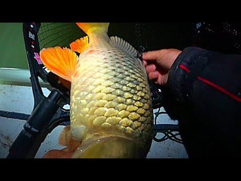 ЭТИ РЫБЫ НЕ ДАЮТ ПРОДОХНУТЬ!!! ПОПАЛ НА ЖОР КРУПНЯКА! РЫБАЛКА смотреть онлайн