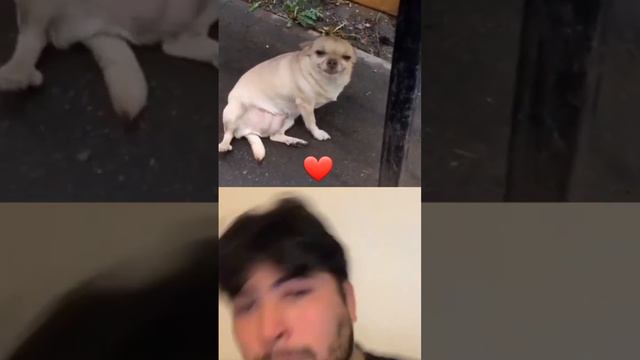 кега бомбастик смотреть онлайн