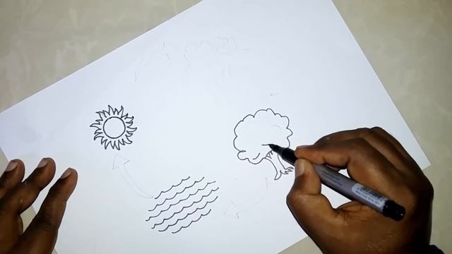 Water cycle drawing activity (how to draw) | Water cycle drawing pictures смотреть онлайн