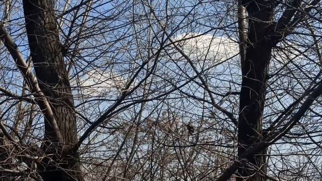 31 марта народны праздник КИРИЛЛОВ ДЕНЬ . что нельзя делать... народные приметы и традиции смотреть онлайн