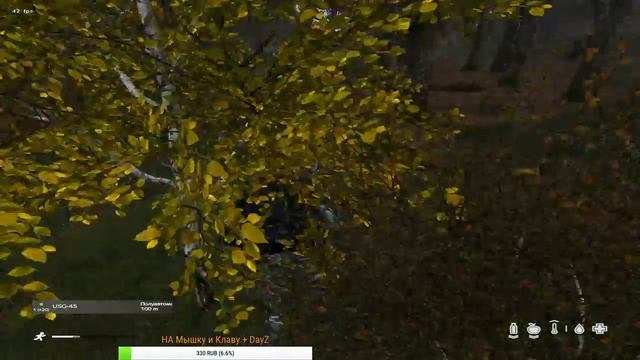 ВСЕХ С НАСТУПАЮЩИМ 2019 ГОДОМ СТЕЛС ЛУТАНИЯ НА DEEKLINE | DayZ Standalone 1.0 [Пиратка] смотреть онлайн