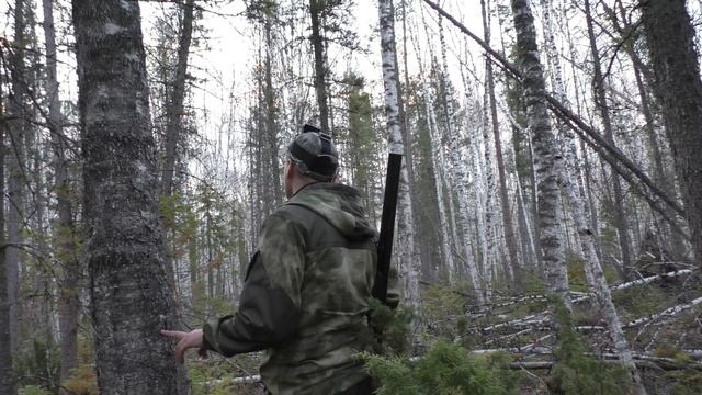 ОХОТА НА ГЛУХАРЯ НА ТОКУ. ВОТ ЭТО ТОК, КРУГОМ ГЛУХАРИ!!! смотреть онлайн
