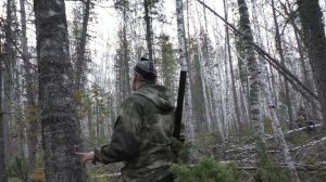 ОХОТА НА ГЛУХАРЯ НА ТОКУ. ВОТ ЭТО ТОК, КРУГОМ ГЛУХАРИ!!!