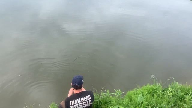 Лобня. Луговая. Рыболовный клуб «Зелёный берег» Поимки форели смотреть онлайн