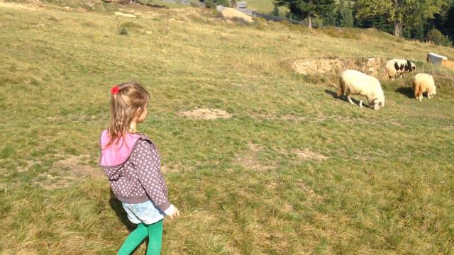 Farm animals name and sound - Kids Learning - ФЕРМА КОРОВЫ ОВЕЧКИ смотреть онлайн