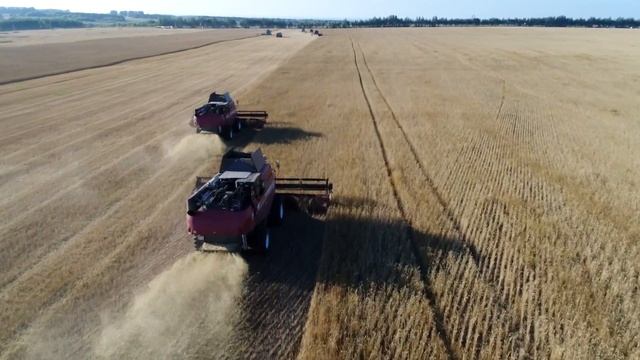 ПАЛЕССЕ GS16 на бескрайних полях Татарстана смотреть онлайн