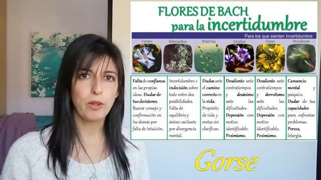 Flores de Bach para la INCERTIDUMBRE смотреть онлайн