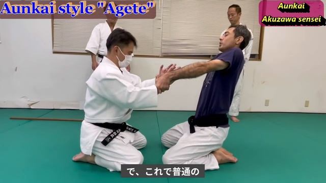 まさに爆発！阿吽会・内動武術の秘密とは？Just an explosion! What is the secret of Aunkai's internal movement? смотреть онлайн