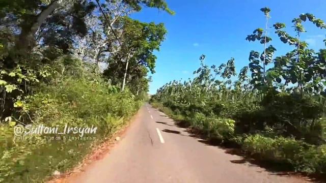 Puluhan Tahun Tinggal di ALAS PURWO, Tamu Tak di Undang Malam hari sudah biasa begini Kisah Mbah Ja смотреть онлайн