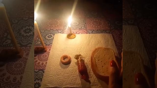 черная кошка. смотреть онлайн