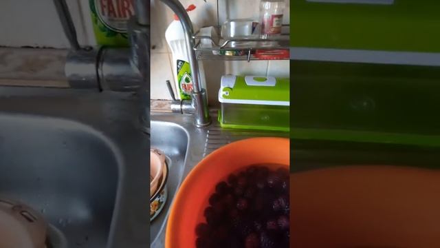 Ежевика - волшебная ягода смотреть онлайн