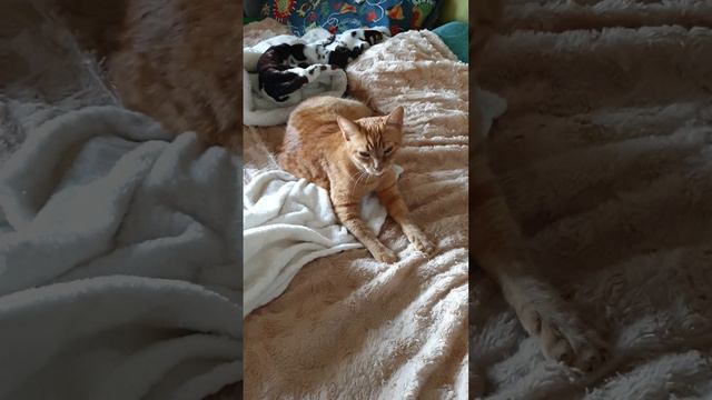 Утро, оно такое....